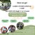 GARDA INTERNATIONAL CAMP - Associazione Arcus