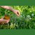 Garden club Ferrara - "La Botanica nel piatto" - conferenza 20 marzo 2025 