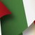 FESTA DELLA REPUBBLICA - le celebrazioni ferraresi per il 71° anniversario della nascita della Repubblica