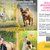 Servizio fotografico per cane e padrone  presso l'Oasi di Vigarano Pieve 