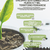 CFI FERRARA - FORMAZIONE GRATUITA PER LE IMPRESE