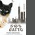 Festa del Gatto al cinepark.tv