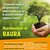 HUB DISTRIBUZIONE A BAURA di PIANTE