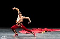 Il “Re del Flamenco” a Ferrara: Sergio Bernal - Teatro Comunale Ferrara