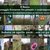 GIORNATA NAZIONALE DEL GIARDINO 2016