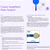 Data Analyst Bootcamp - IBM Skills Build
