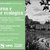 DARSENA E TRANSIZIONE ECOLOGICA: DUE WORKSHOP A WUNDERKAMMER