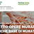 Corso di tecniche di muratura base - Edilform Estense Ferrara