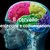 Il cervello e i suoi meccanismi di percezione e comunicazione spiegati agli studenti