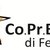 Servizio civile Universale e Webinar del 10 Febbraio
