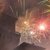 Capodanno e Natale in centro a Ferrara