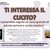CERCASI PARTECIPANTE LABORATORIO CUCITO
