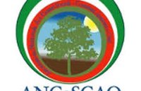 Bando Servizio Civile Universale - ANCeSCAO