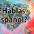 ¿HABLAS ESPAñOL ?