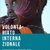 IBO ITALIA: EVAC | Manuale del Volontariato Internazionale