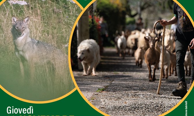 CAI FERRARA - IL LUPO E NOI Dialoghi per la coesistenza Giovedì 13 novembre 2025, ore 20:45