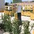 DOMANI E DOPODOMANI, "INTERNO VERDE" AL GIARDINO DEL MEIS