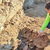 L’esperienza di un’archeologa oggi sul territorio ferrarese - mercoledì 22/11/2023