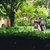 Call aperta per i giardini di Interno Verde