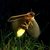 A passeggio nella natura di notte in cerca delle lucciole