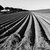 "Interminati spazi": mostra fotografica sui paesaggi della Bassa