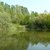 'BioBlitz' con la macchina fotografica alla scoperta del Po di Primaro