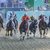Palio di Ferrara 2019