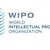 Stage a Ginevra al World Intellectual Property Organization