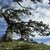 Apertura Iscrizioni CAI al Parco Nazionale del Pollino
