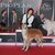 860 CANI ALLA 46a ESPOSIZIONE INTERNAZIONALE CANINA