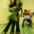Danza e arte inaugurano il 2020 a Ferrara Off