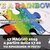 17 maggio 2019 "I have a rainbow dream"