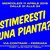 "Stimeresti una pianta?" con Interno Verde