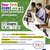 Webinar “Your First Eures Job 6.0 : Come partecipare all’iniziativa” - Eurodesk Italia 