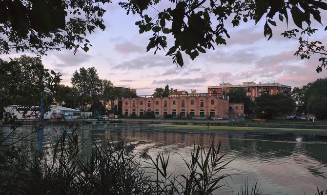 Paludicola: abitare paesaggi ibridi // Un progetto di Wunderkammer tra Ferrara e le zone umide del Po