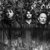 Concerto dei "The Smile" diretta livestream mondiale 