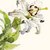 "L'illustrazione naturalistica", un'intera giornata con Andrea Ambrogio fra workshop e conferenza