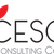 Cesop - Virtual Job Meeting Engeneering - 17 novembre 2022