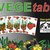 Torneo di 'Vegetables', il gioco di carte incentrato sulla coltivazione di ortaggi